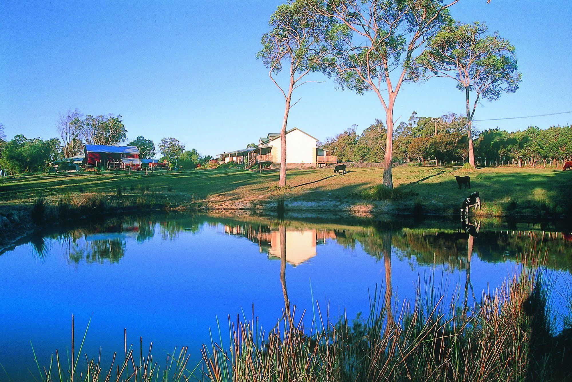 Вилла Platypus Park Country Retreat Бридпорт Экстерьер фото